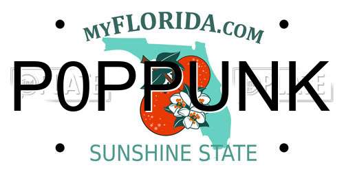 P0PPUNK Florida License Plate