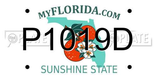 P1019D Florida License Plate