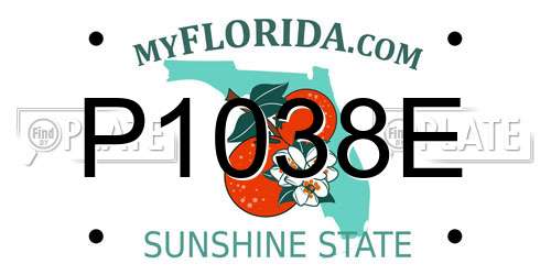 P1038E Florida License Plate