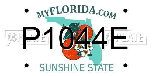 P1044E Florida License Plate