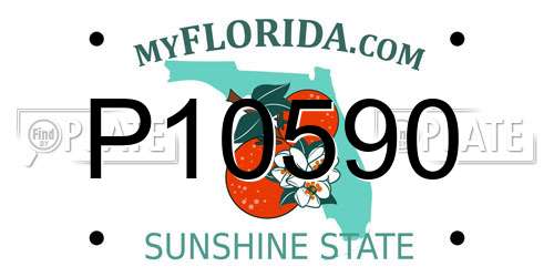 P10590 Florida License Plate