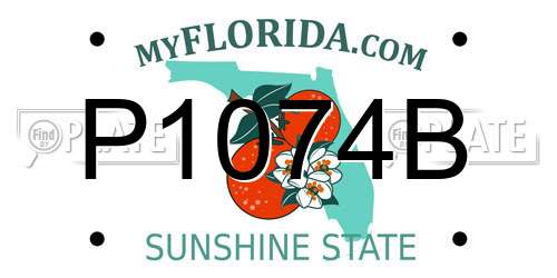 P1074B Florida License Plate