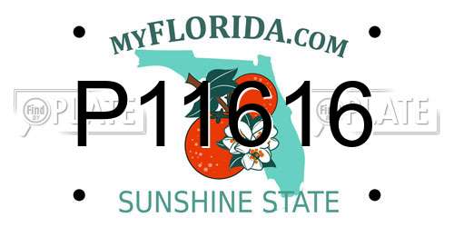 P11616 Florida License Plate