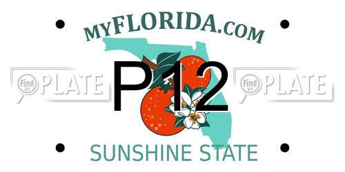 P12 Florida License Plate