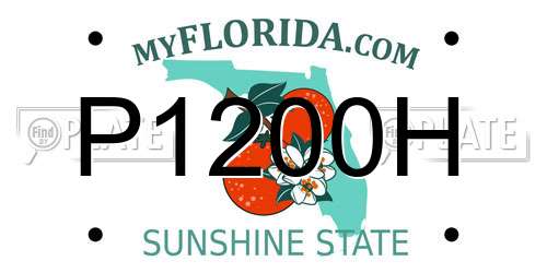 P1200H Florida License Plate
