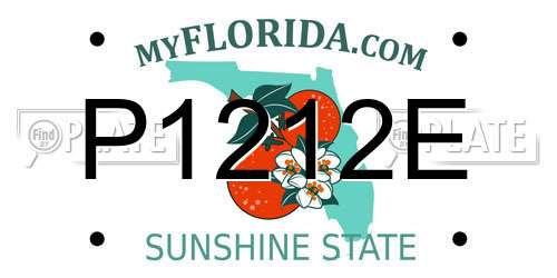 P1212E Florida License Plate