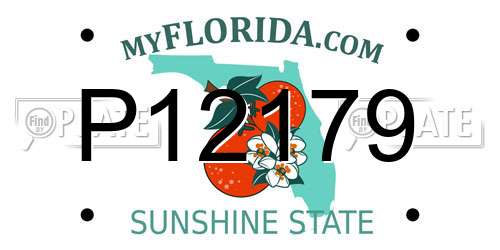 P12179 Florida License Plate