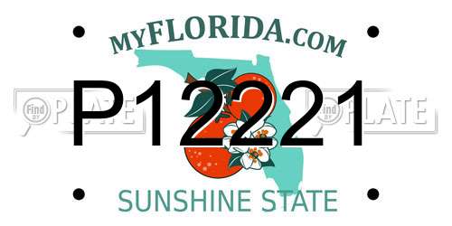 P12221 Florida License Plate