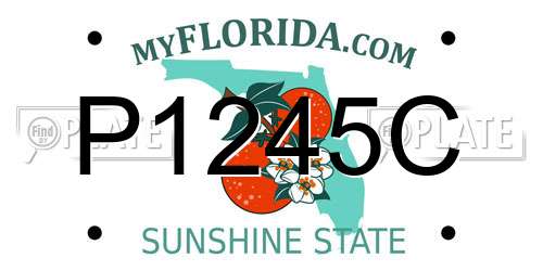 P1245C Florida License Plate