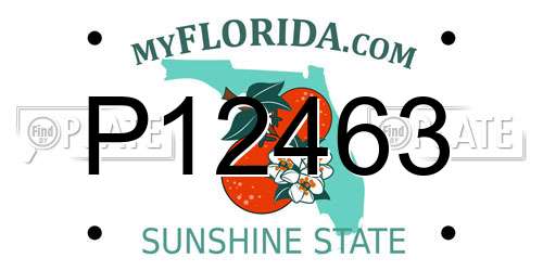 P12463 Florida License Plate