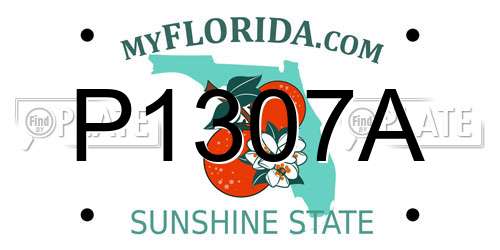 P1307A Florida License Plate