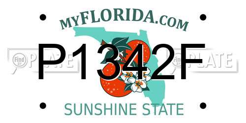 P1342F Florida License Plate