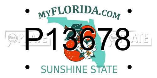 P13678 Florida License Plate