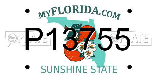P13755 Florida License Plate