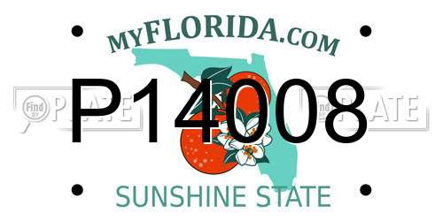 P14008 Florida License Plate