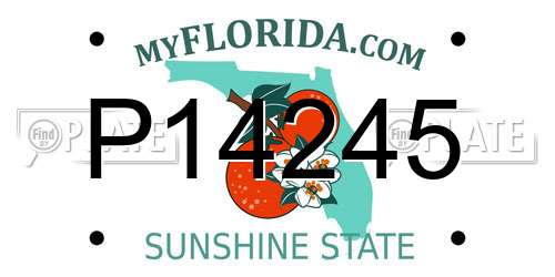 P14245 Florida License Plate