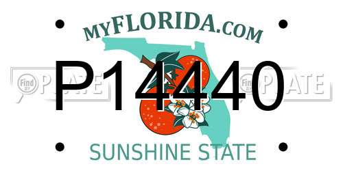 P14440 Florida License Plate