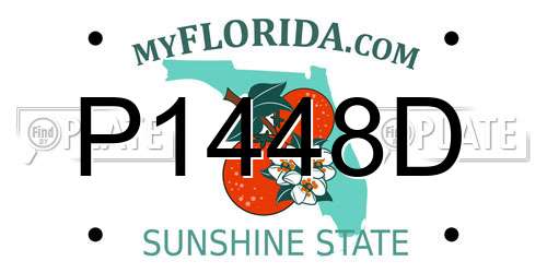P1448D Florida License Plate
