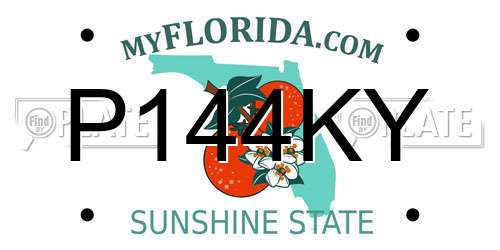 P144KY Florida License Plate