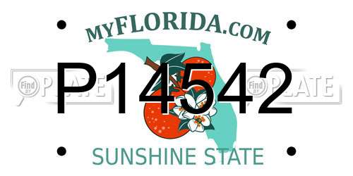 P14542 Florida License Plate