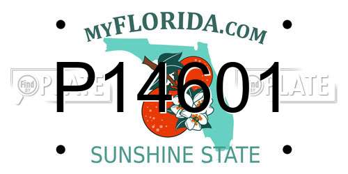 P14601 Florida License Plate
