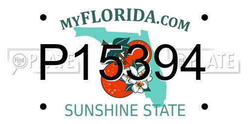 P15394 Florida License Plate