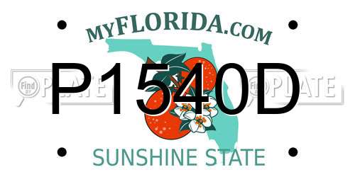 P1540D Florida License Plate