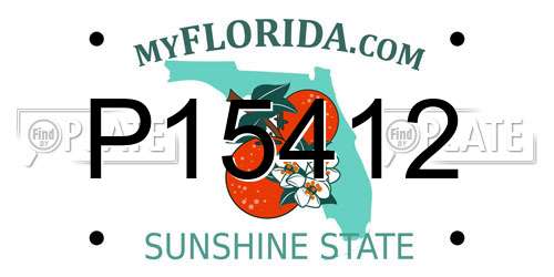 P15412 Florida License Plate