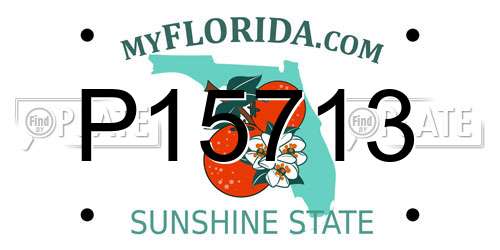 P15713 Florida License Plate
