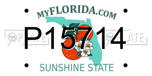 P15714 Florida License Plate