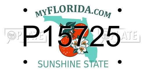 P15725 Florida License Plate