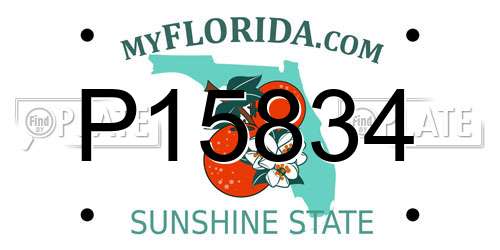 P15834 Florida License Plate