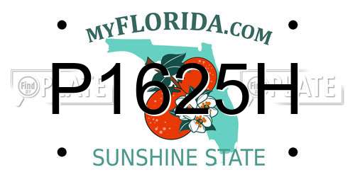 P1625H Florida License Plate