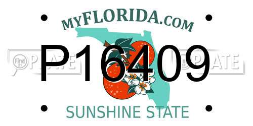P16409 Florida License Plate