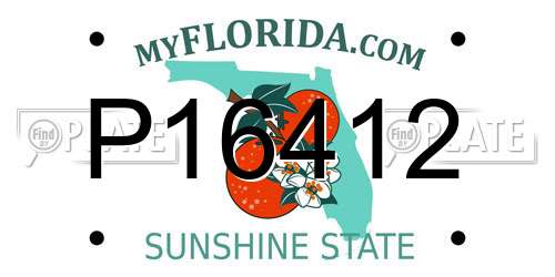 P16412 Florida License Plate