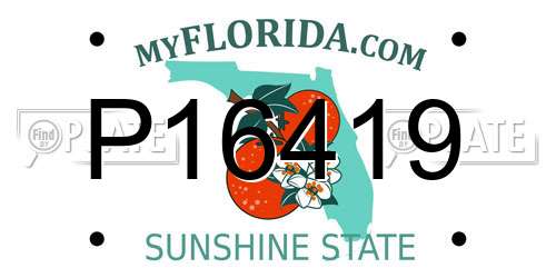 P16419 Florida License Plate