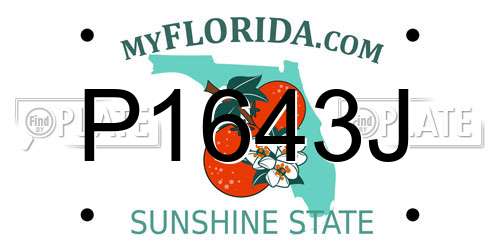 P1643J Florida License Plate