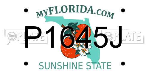P1645J Florida License Plate