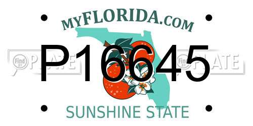 P16645 Florida License Plate