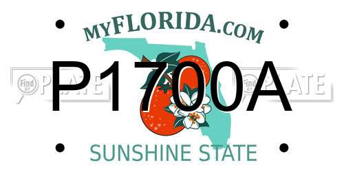 P1700A Florida License Plate