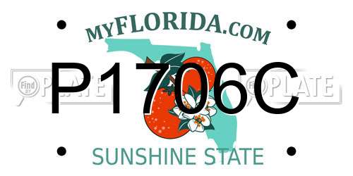 P1706C Florida License Plate
