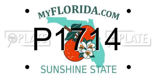P1714 Florida License Plate