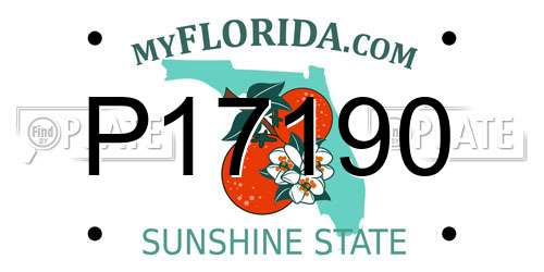 P17190 Florida License Plate