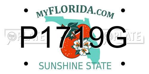 P1719G Florida License Plate