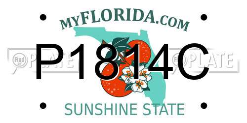 P1814C Florida License Plate