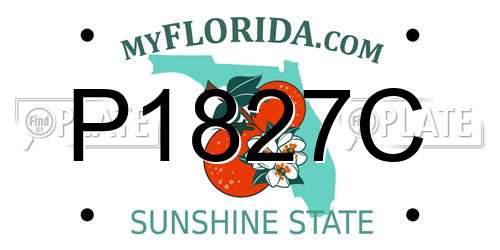 P1827C Florida License Plate