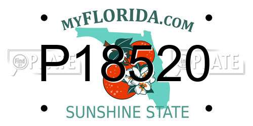 P18520 Florida License Plate