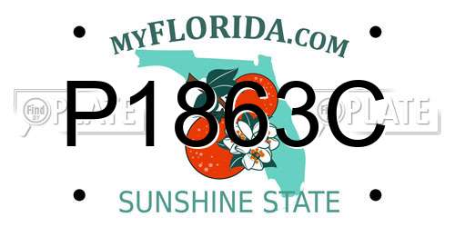 P1863C Florida License Plate
