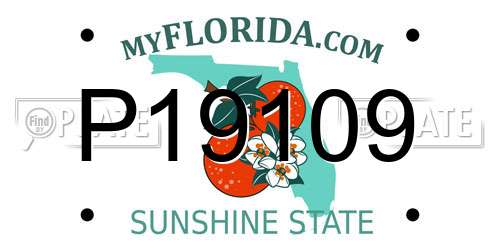 P19109 Florida License Plate