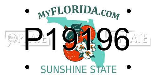 P19196 Florida License Plate